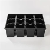 12 auguga must seemnealus