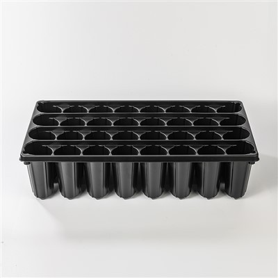 32 auguga must seemnealus